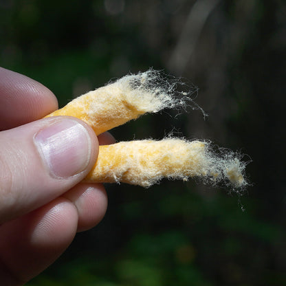 IGNITABS™ 20 pcs All-Weather Fire Starter