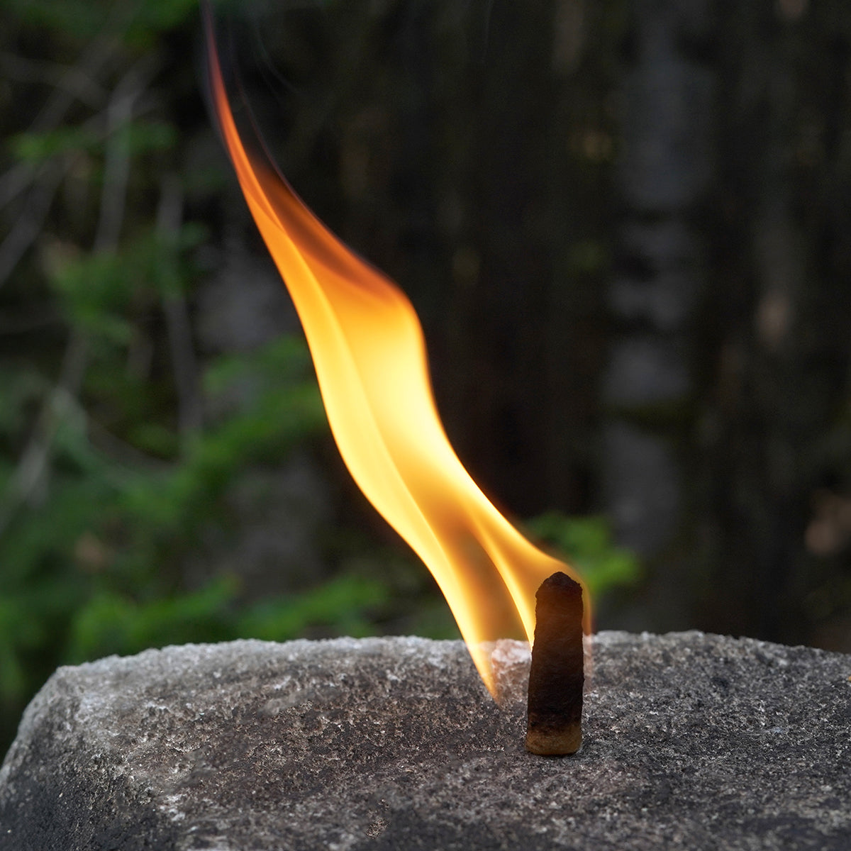 IGNITABS™ 20 pcs All-Weather Fire Starter