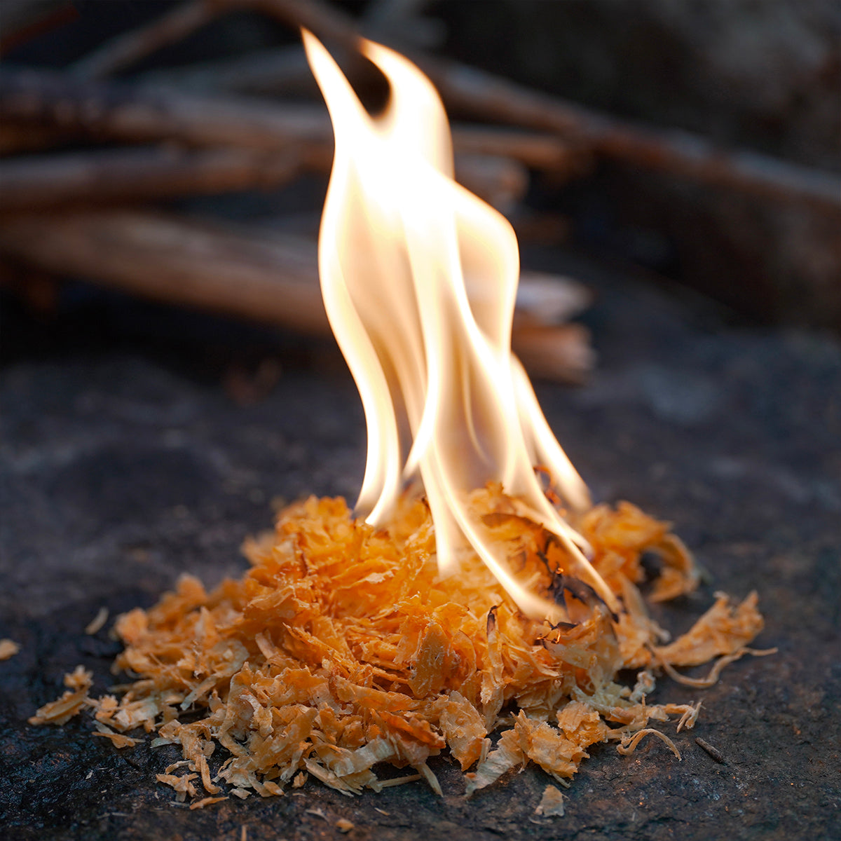 FATWOOD SHAVINGS