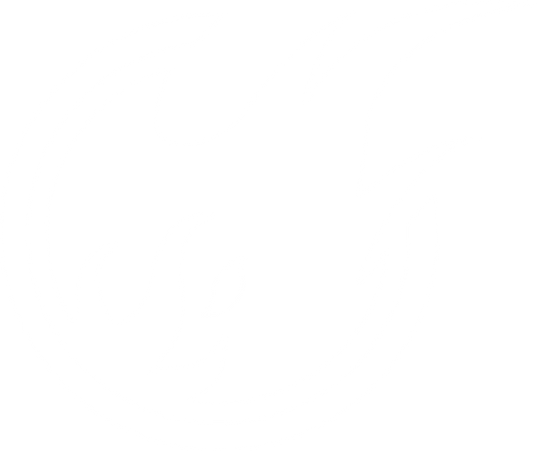 PROCAMPTEK INC.