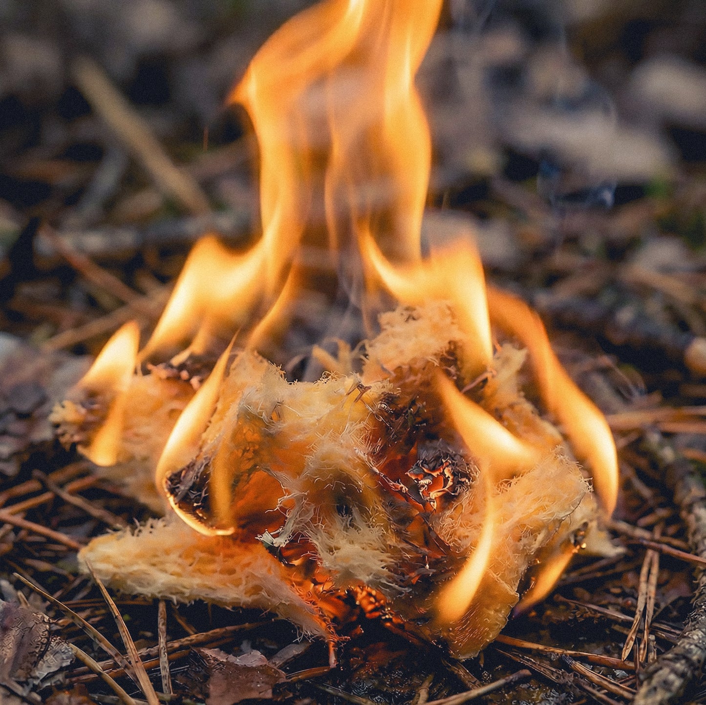 IGNITABS™ 20 pcs All-Weather Fire Starter